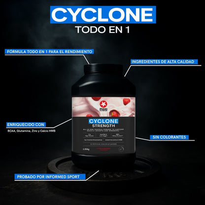 CYCLONE ALL-IN-ONE FRESA