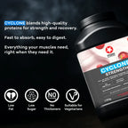 CYCLONE ALL-IN-ONE FRESA